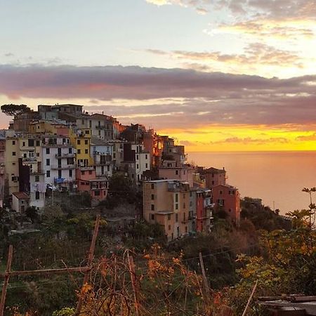 Terre Apartment Corniglia Exterior photo