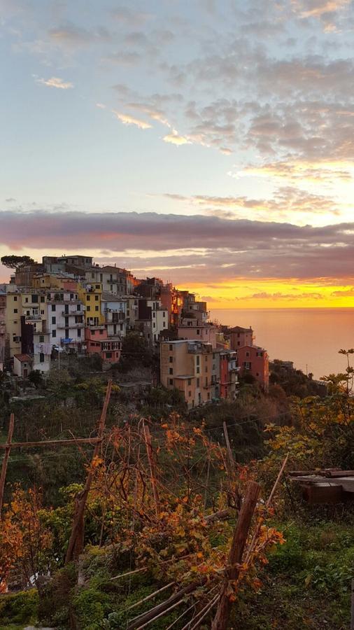 Terre Apartment Corniglia Exterior photo